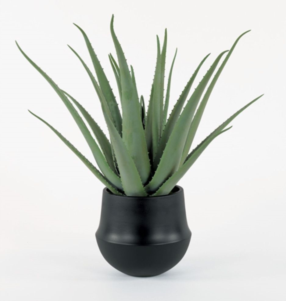 Small Aloe Plant in Black Vase, 18&quot;H x 18&quot;W x 18&quot;D, Faux