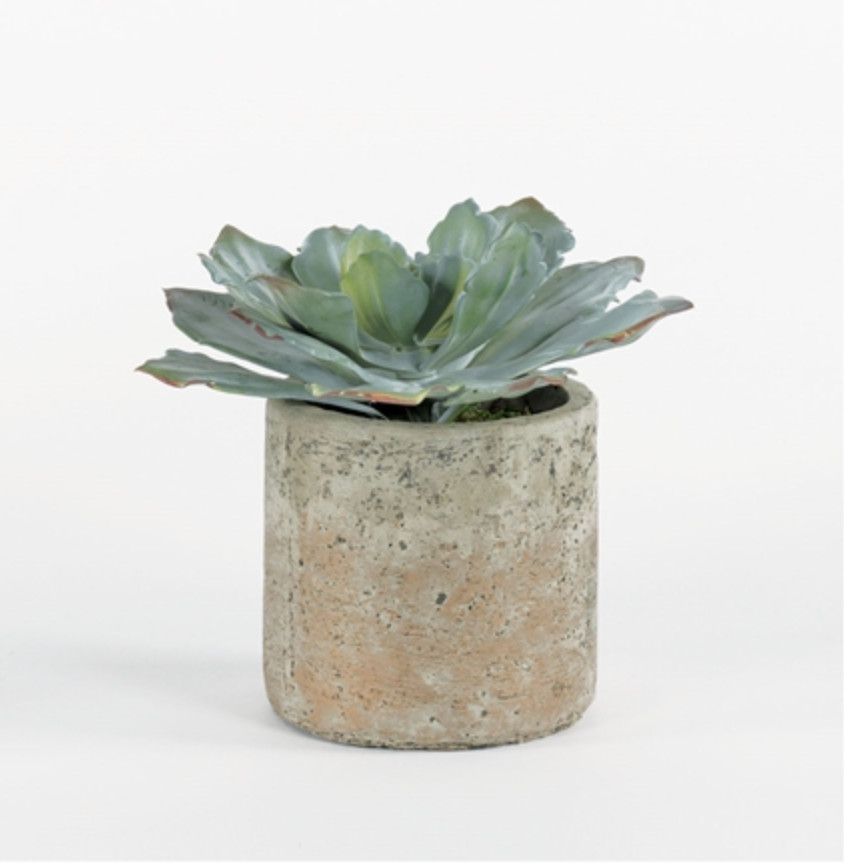 Succulent in Vase, 9&quot;H x 9&quot;W x 9&quot;D, Faux