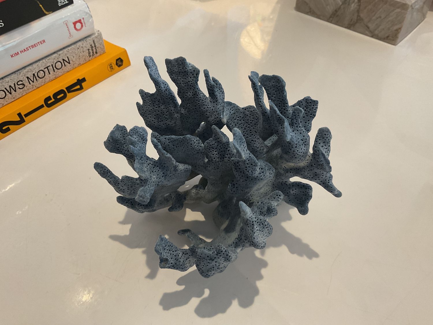 Coral , Small , Blue, 6&quot;-8&quot;