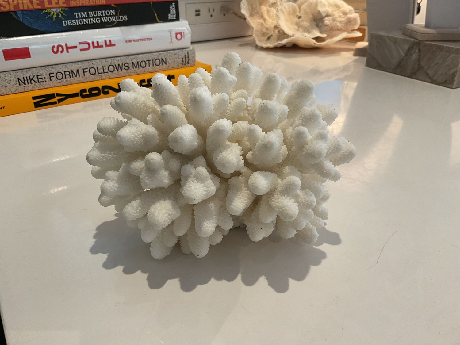 Coral, Sm, Finger, 6&quot;-10&quot;