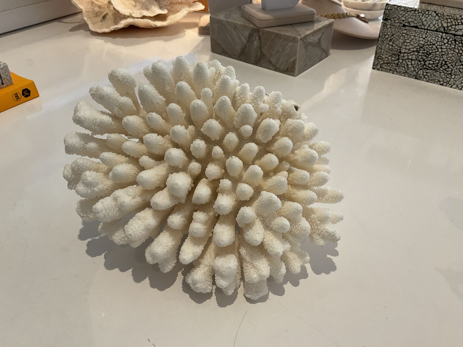 Coral, Med, Finger 8&quot;-10&quot;