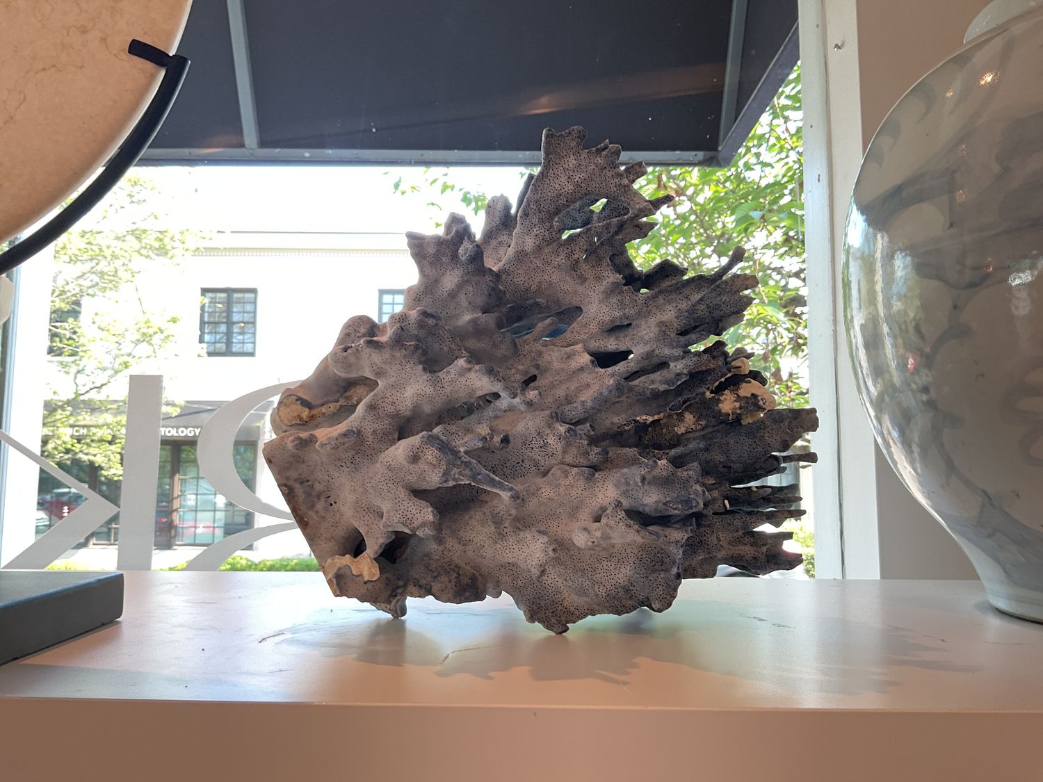 Coral,  x- Lg
