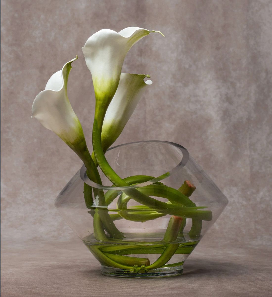 Three White Cala Lillies, 10“L x 10.5”W x 14”H, Angled Glass Vase with Water