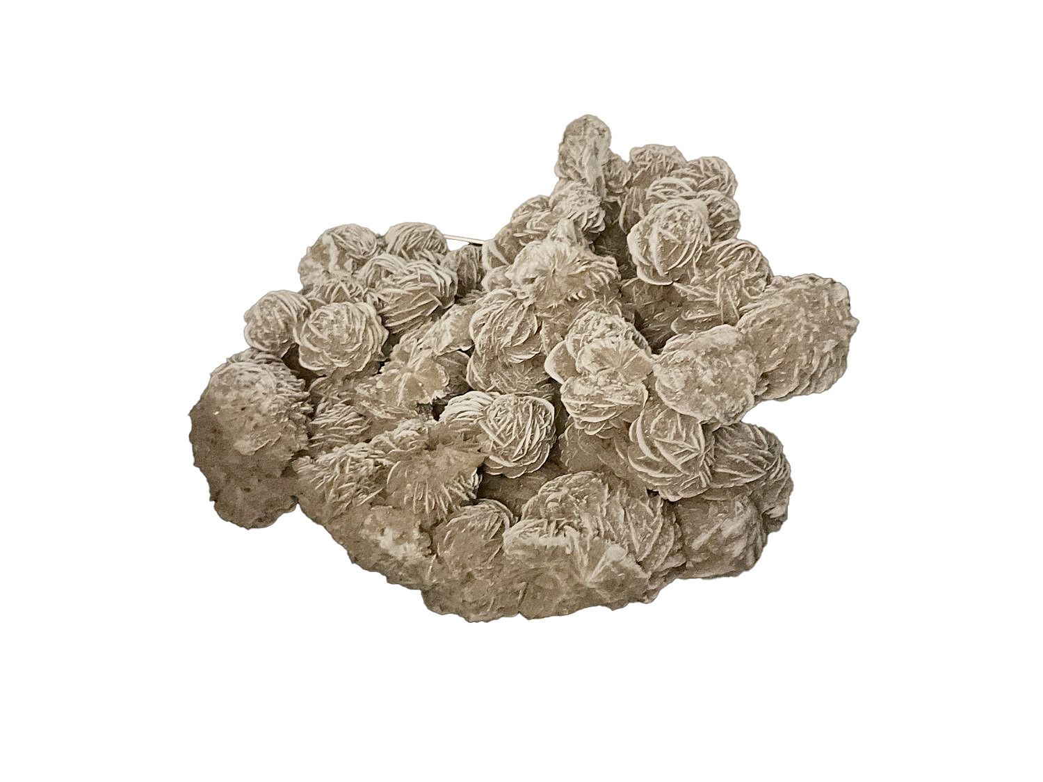 SOLD Desert Rose 446841