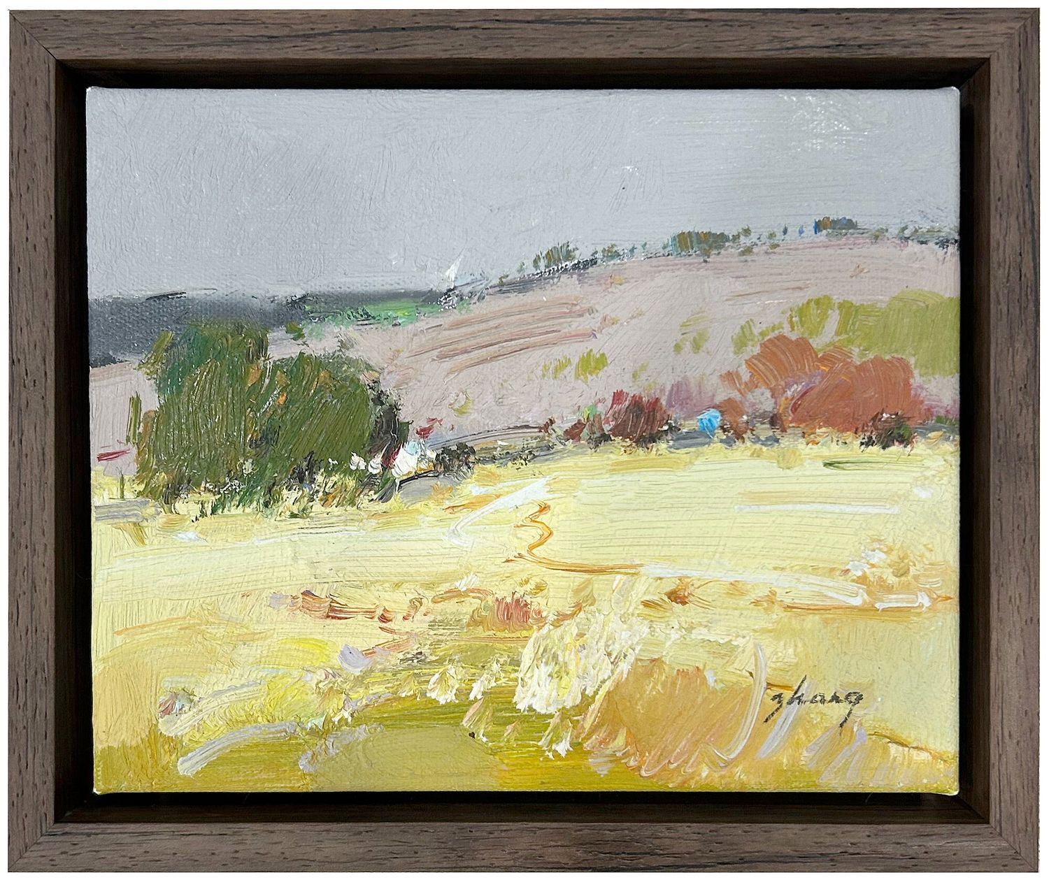 Original Art, 8x10, Open Grassy Field with View, Walnut Frame