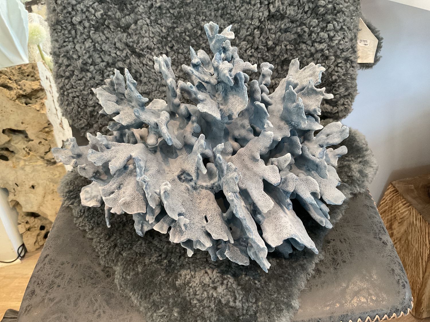 Blue Coral XL 17&quot; x 15&quot;