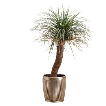 Faux Plant - 4&#39; Palm Tree, Antique Bronze Pot