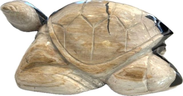 Turtle Petrified Wood / Fossil 13&quot; x 9&quot; x 5&quot;