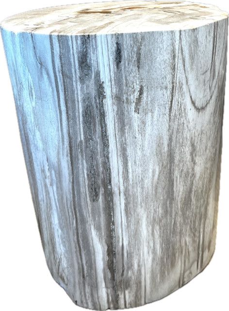 SOLD Stool Fully Polished Grey Cream Petrified Wood 15.5&quot; H x 12.5