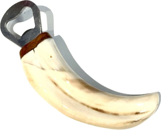 Bottle Opener Warthog Tusk