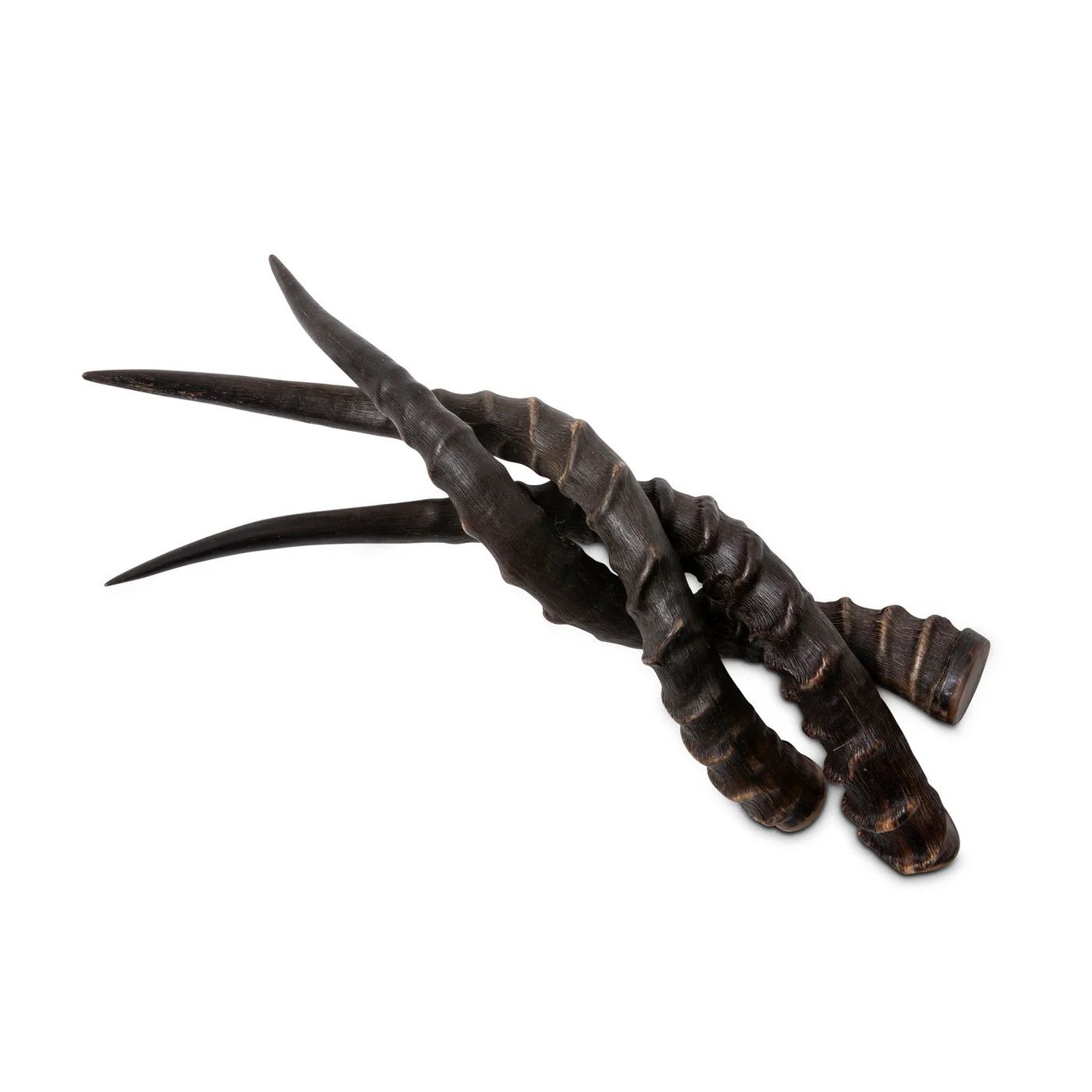 Natural Impala Horn 21-24&quot;