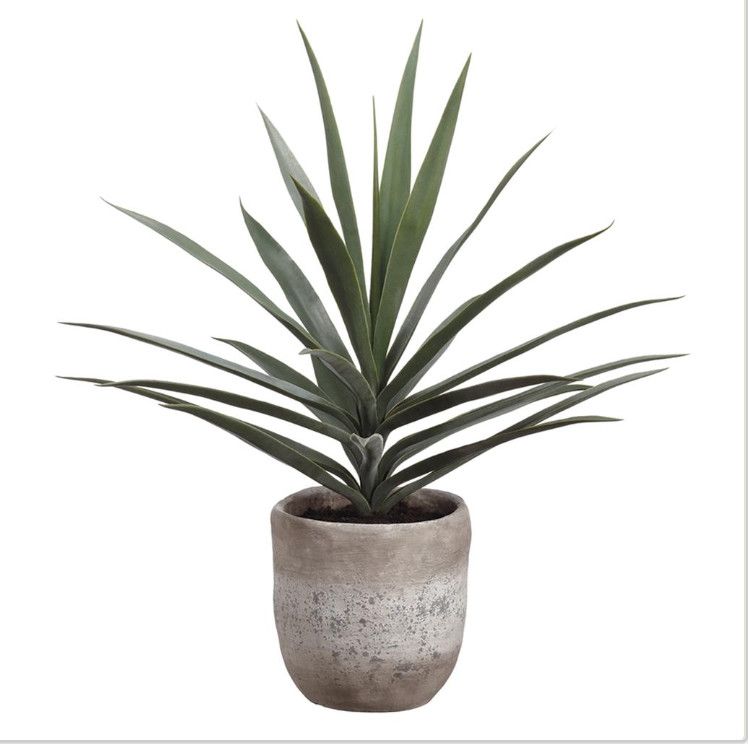 Faux Yucca Plant in Cement Planter, 31&quot; H x 27&quot; W