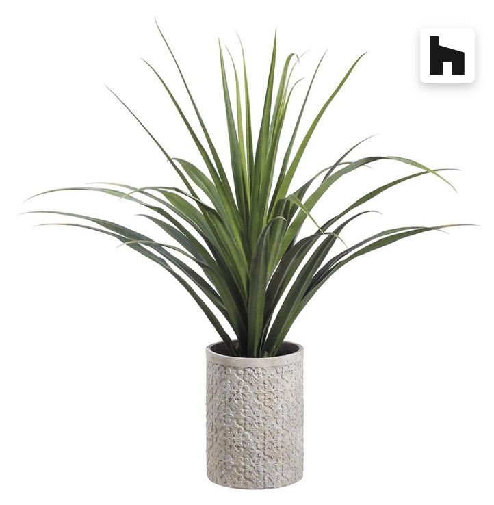 Faux Dracana in Cement Planter with Pattern, 58&quot; H
