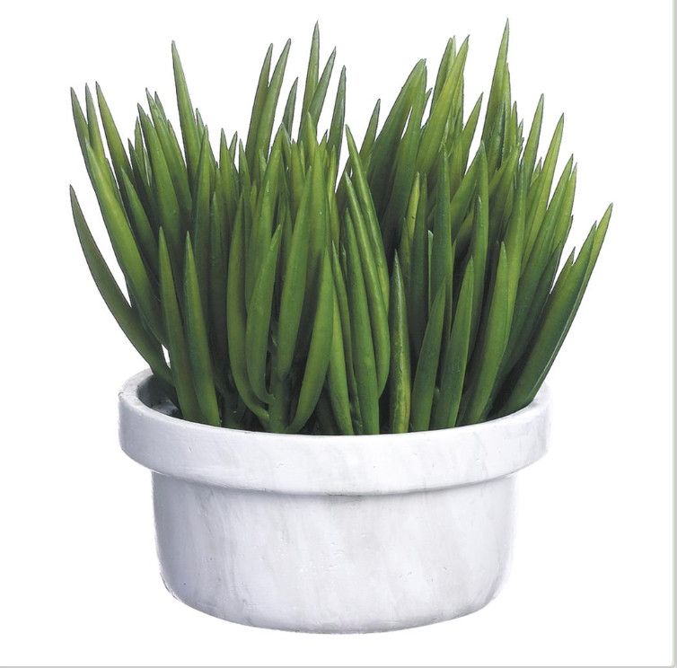 Faux Senecio in White Faux Marble Pot, 10&quot; H x 11&quot;W