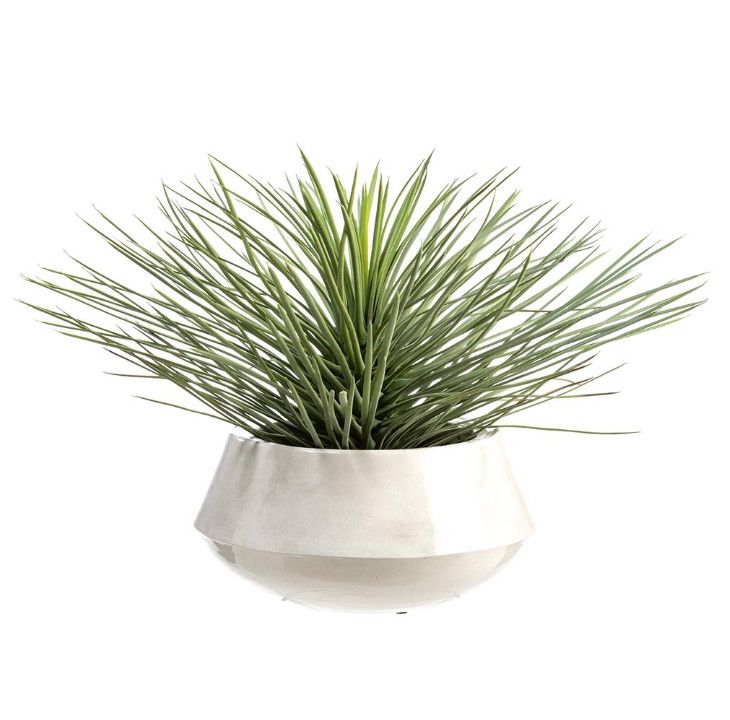 Faux Whipple Yucca Plant in White Pot, 20&quot;H