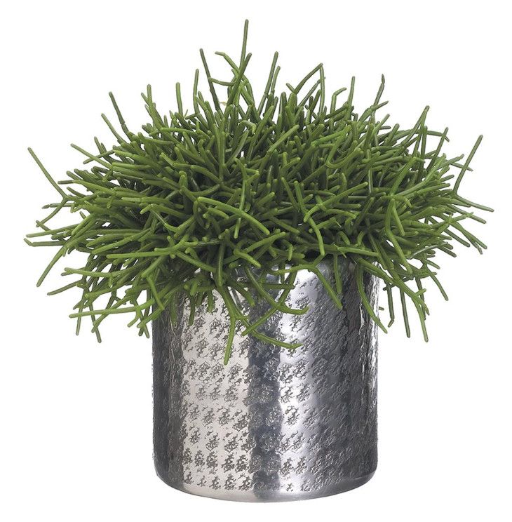 Faux Pencil Cactus in Aluminum Pot, 9.5&quot; H