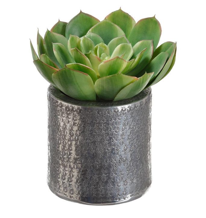 Faux Echeveria in Aluminum Silver Pot, 8&quot; x 8&quot;