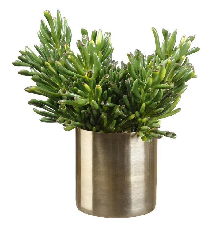 Faux Succulent in Brass Pot, 11.5&quot; H