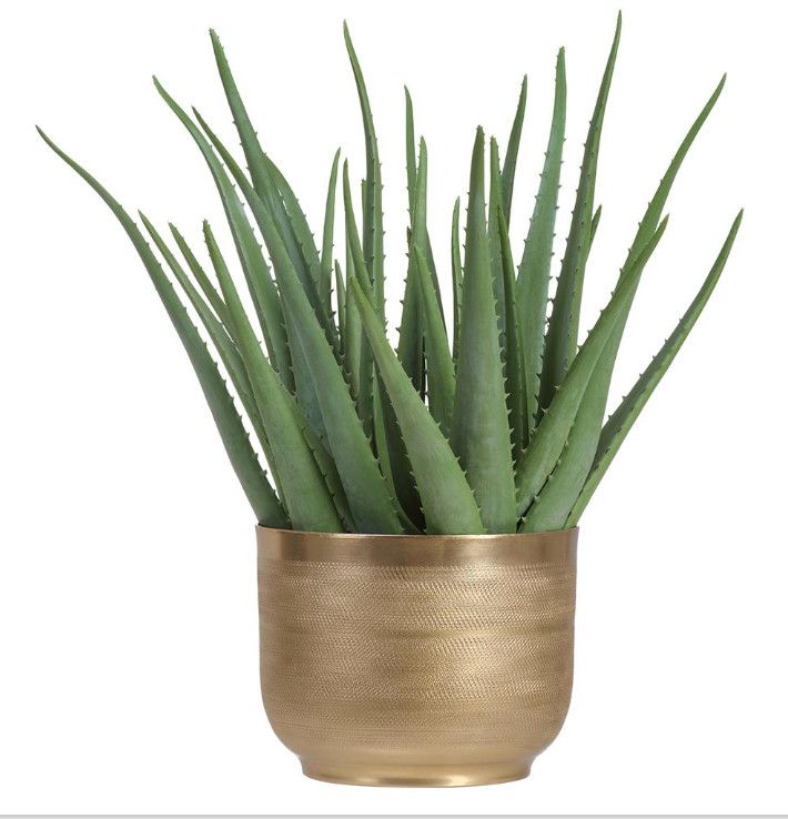 Faux Agave In Bronze Textured Pot, 19&quot; H