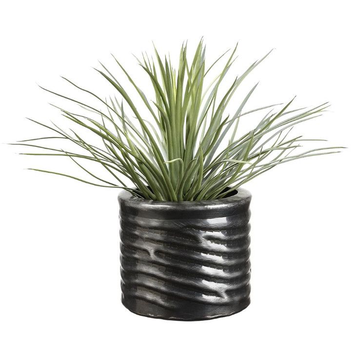 Faux Whipple Yucca in Dk Grey Banded Pot, 16&quot;