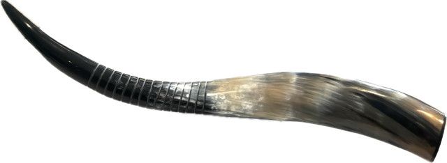 Horn On Stand , 20&#39;&#39;x6&#39;&#39;x7&#39;&#39;