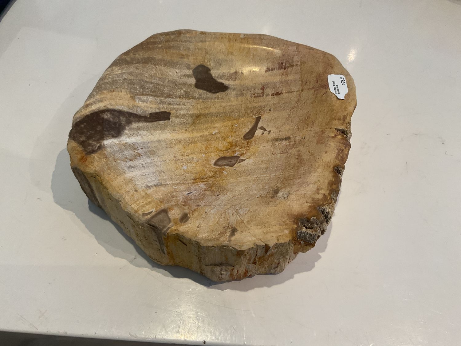 Petrified Wood Small Dish