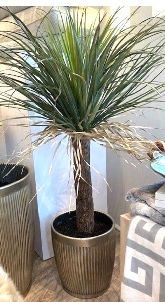 4' Desert Palm Tree Bronze Pot