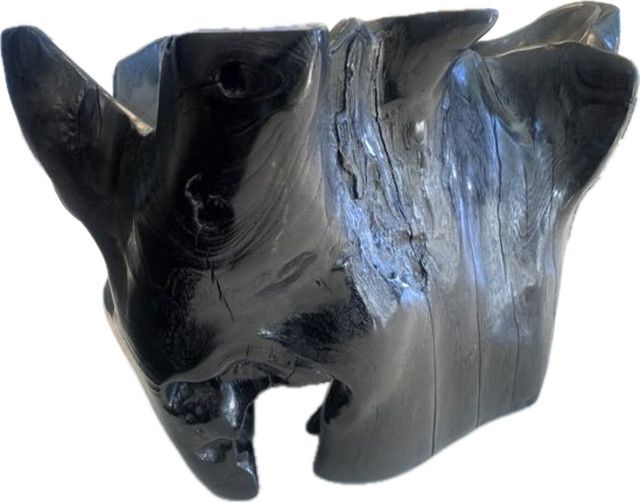 Black Polished Root Bowl 16 x 16 x 10