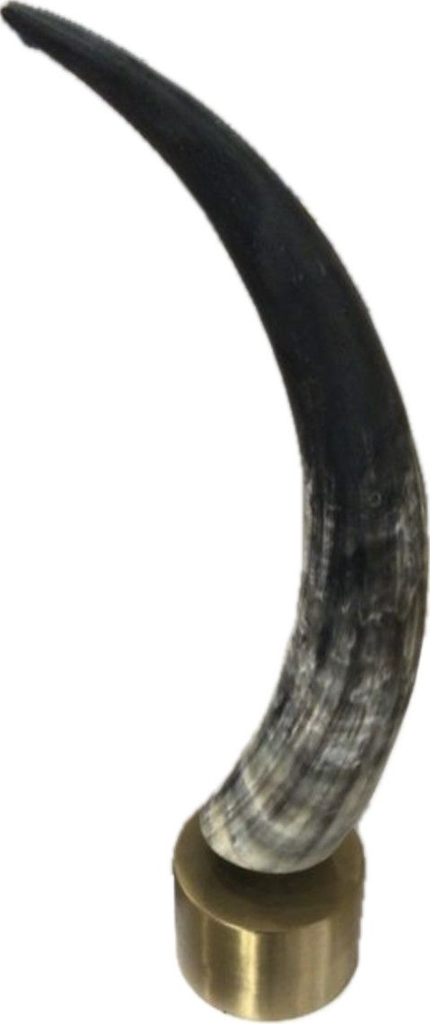 Large Natural Matte Horn With Brass Base