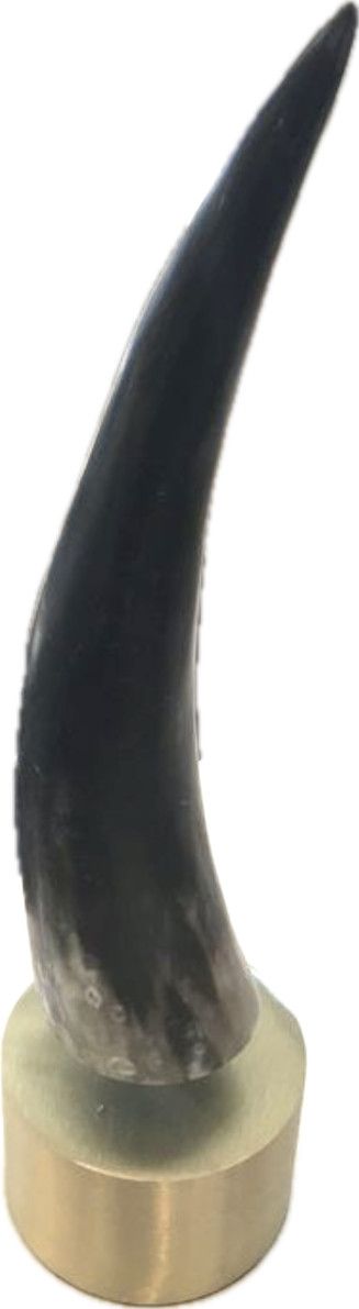 Small Natural Matte Horn With Brass Base