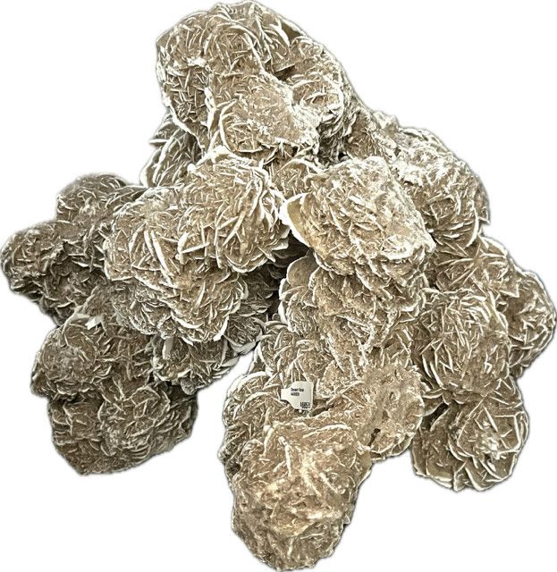 Villaahumada Desert Rose. 438075