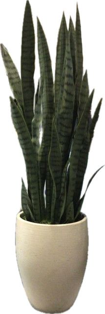 Faux Snake Plant In Cement Color Floor Vessel