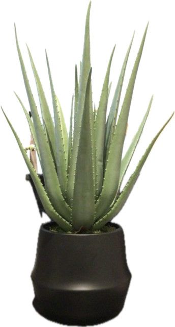Aloe Faux Plant In Black Shaped Large Vessel
