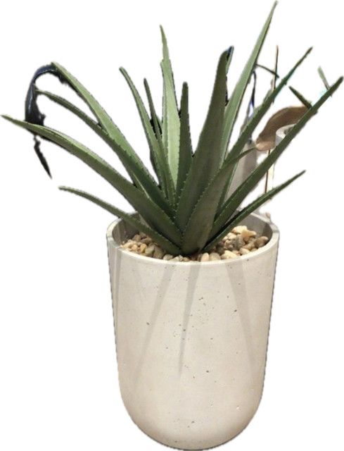 Small Aloe With Natural Pebbles Floor Vessel Faux