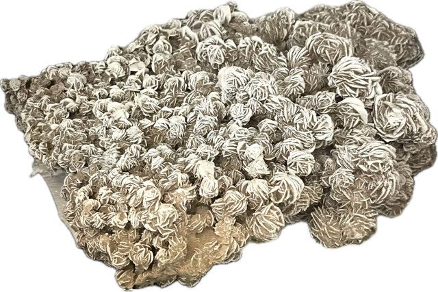 Dessert Rose Large 15" x 13 x 5" 438071