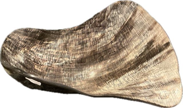 Chiseled Horn Bowl