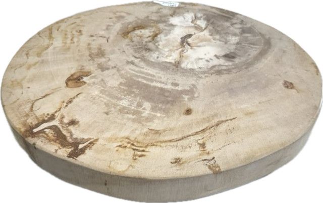Petrified Wood Round Trivet, 10.5" D