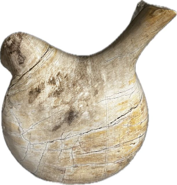 Petrified Stone Bird, 7''x4''x7''