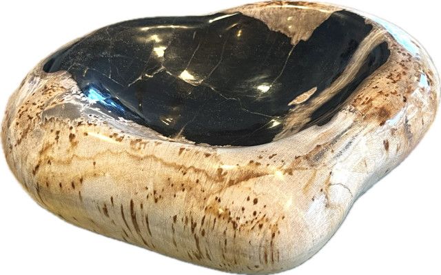 Petrified Wood Organic Shaped Bowl, 10''x8''x3''