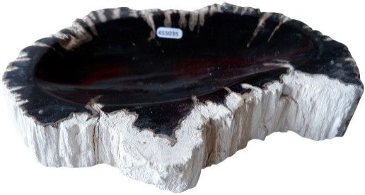Petrified Stone Carved Dish 10''x8''x2''