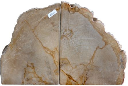 Jasper Stone Pair of Bookends 12''x4''x7''