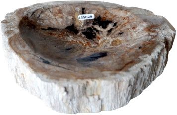 Petrified Stone Carved Dish 8''x7''x2''