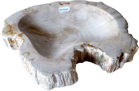 Petrified Stone Carved Dish 9''x7''x2''