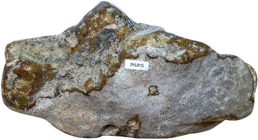 Jasper Stone Mineral 9''x4''x5''