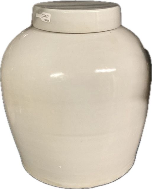 Lunar Frosty White Porcelain Ginger Jar Large