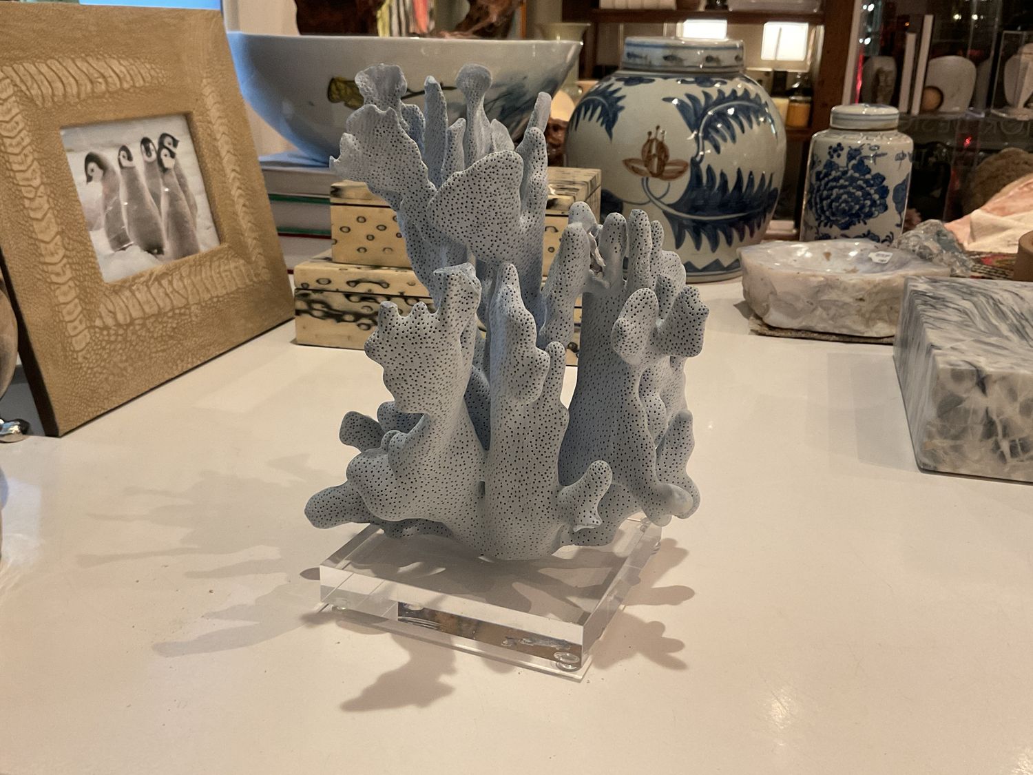 Blue Coral 7-10 Inch On Acrylic Base