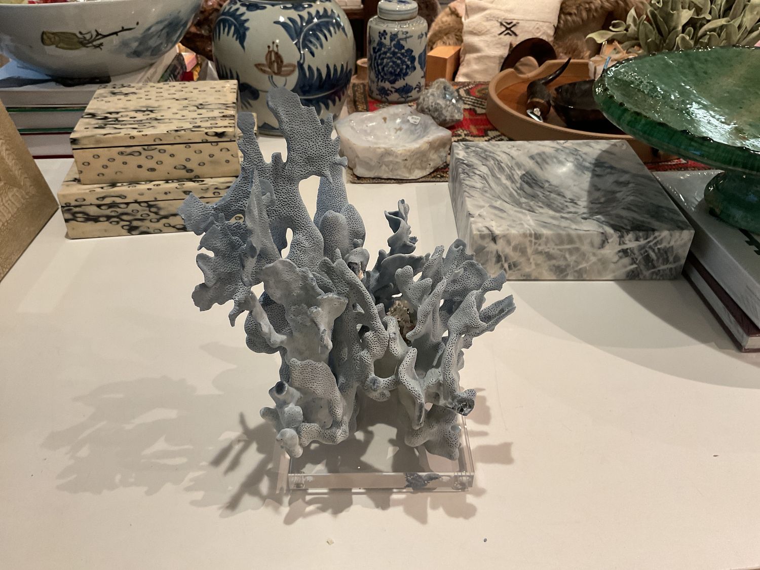 Blue Coral 10-12 Inch On Acrylic Base