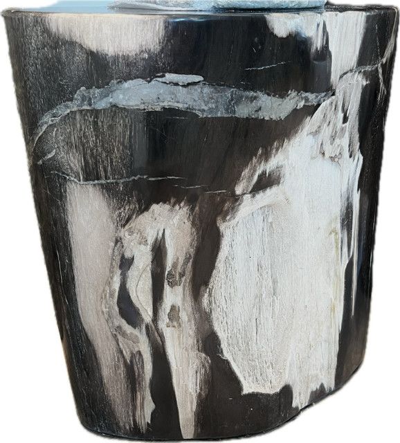 Stool, Side Table Petrified Wood 15.5"H x 15"W x 10"D