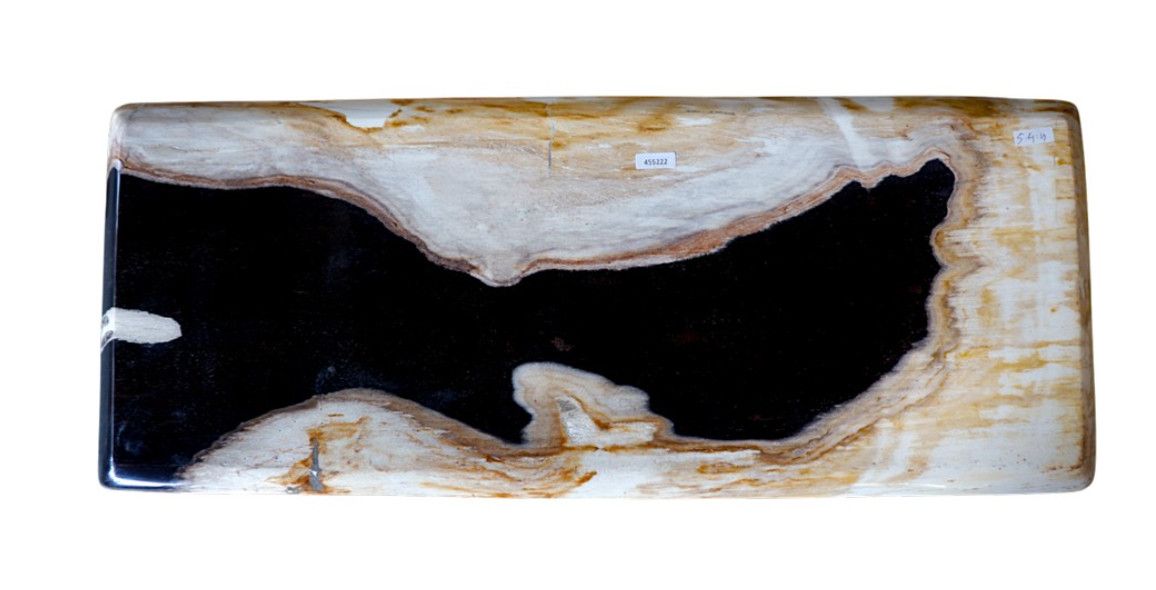SOLD Petrified Wood Tray