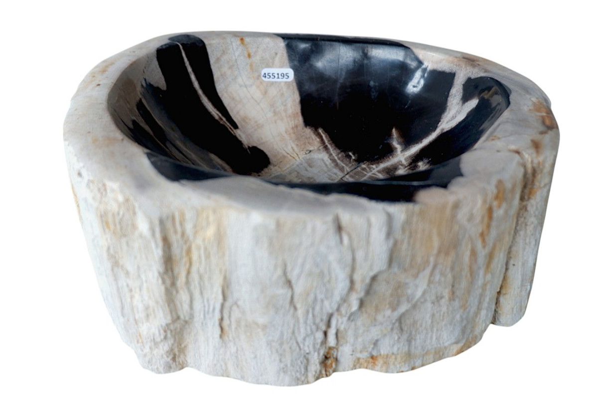 Bowl, Petrified Wood raw edges